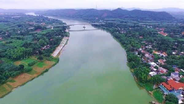 Khoảnh khắc tĩnh lặng: Chú cò trắng ngỡ ngàng trước bóng hình dưới mặt nước trong veo. Ảnh tư liệu