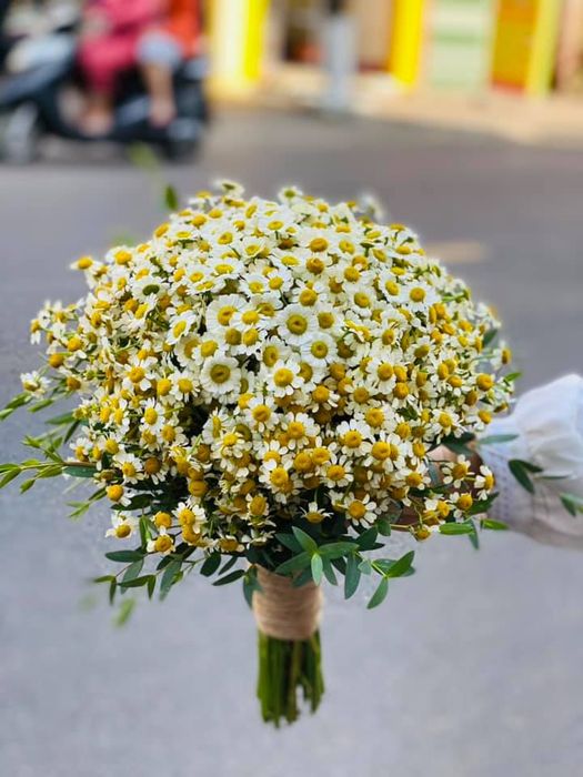 Hòa Thắm Flower - Những bó hoa đẹp, tinh tế cho mọi dịp.