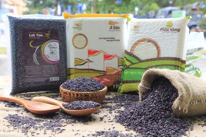 Gạo Dinh Dưỡng Lứt Tím ThaiBinh Seed - Hạt ngọc tím từ nhà chọn giống số 1