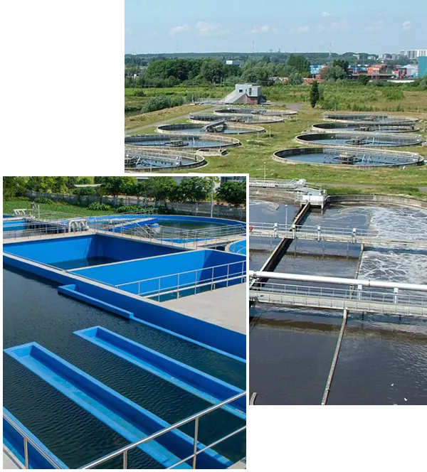 Hình ảnh của Công ty TNHH Dịch vụ và Môi trường Đức Tài - Cơ sở 2