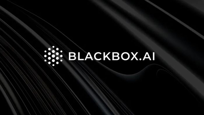 chatgpt-vs-blackbox-ai-1