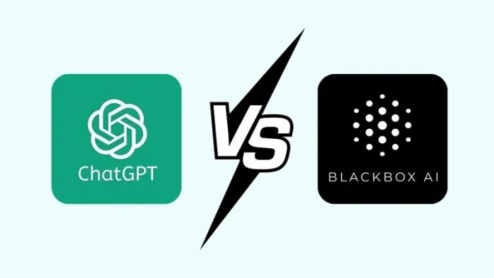 chatgpt-vs-blackbox-ai-7