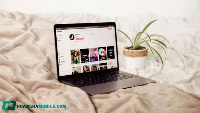 tiktok-download-pc-2