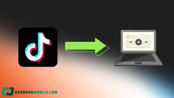 tiktok-download-pc-1