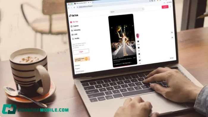 tiktok-download-pc-21
