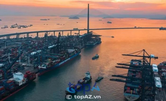 Tín Nghĩa Logistics - Nhà cung cấp dịch vụ vận tải biển chuyên nghiệp tại Nhơn Trạch