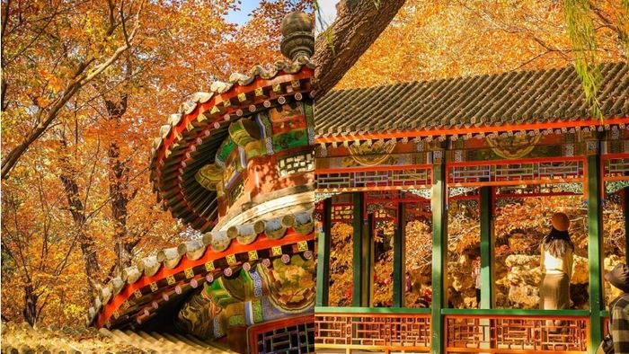 Say đắm trước vẻ đẹp mùa thu tháng 10 tại Di Hòa Viên