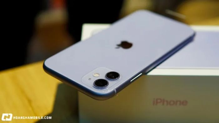 gia-iphone-11-cu-thang-7-2025-12