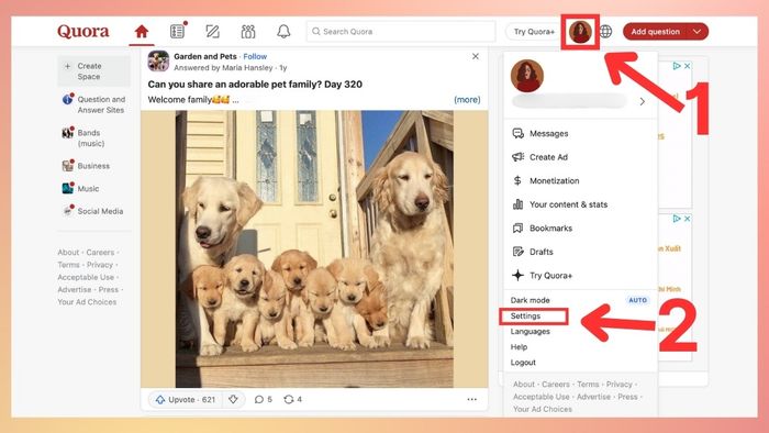 Hướng dẫn ngừng nhận Quora Digest - Bước khởi đầu