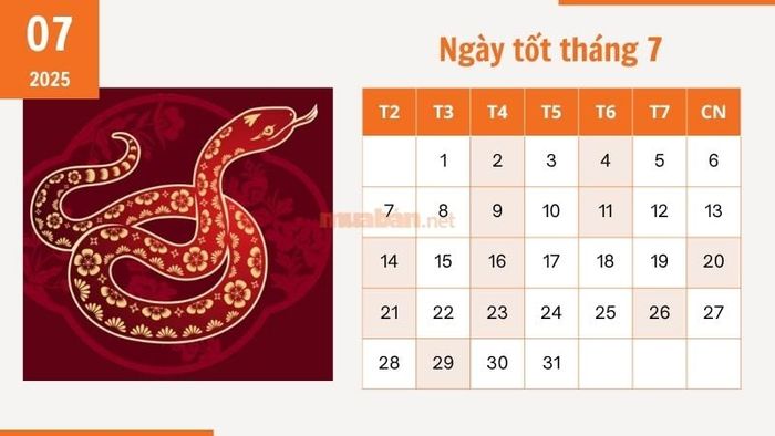 Khám phá ngay các ngày đẹp tháng 7/2025 được chọn lọc
