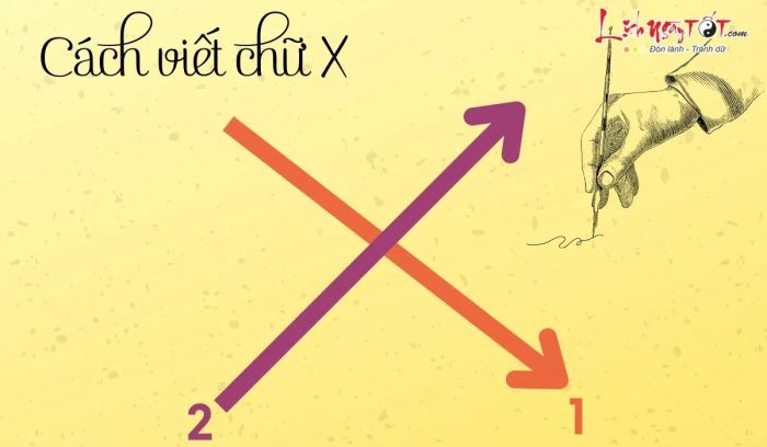 Khám phá tính cách đa chiều qua lối viết chữ X - Phương pháp 7