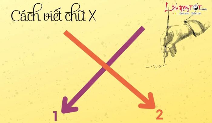 Phân tích tính cách độc đáo qua lối viết chữ X - Phương pháp 2