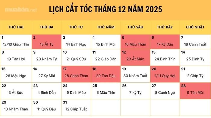 Xem lịch kiêng kỵ cắt tóc tháng 12/2025