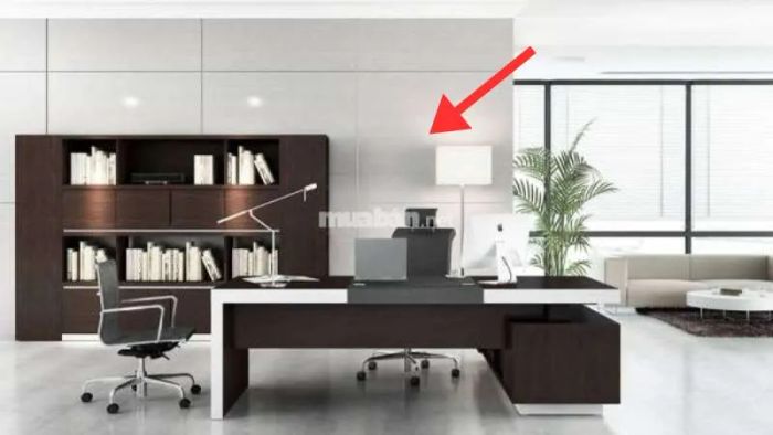 Một bức tường vững chắc phía sau lưng sẽ mang lại cảm giác an toàn và tự tin khi làm việc