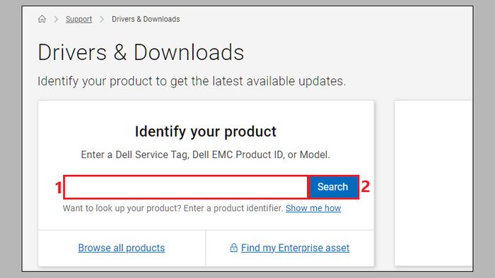 driver-dell-12