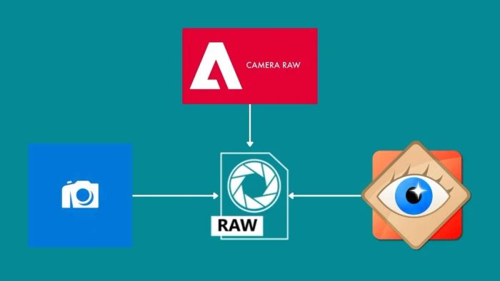Phân tích ưu nhược điểm của Raw Image Extension so với các phần mềm khác