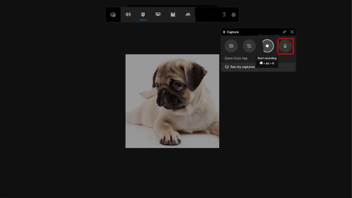Hướng dẫn thực hiện ghi hình Zoom trên Windows - Phần quan trọng thứ hai