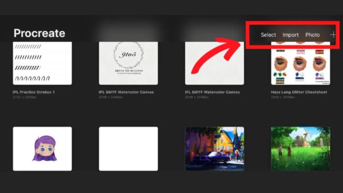 Quy trình tải Procreate đơn giản - bước cuối cùng