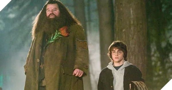 Hình ảnh tái hiện nhân vật Hagrid do cố diễn viên Robbie Coltrane thủ vai.