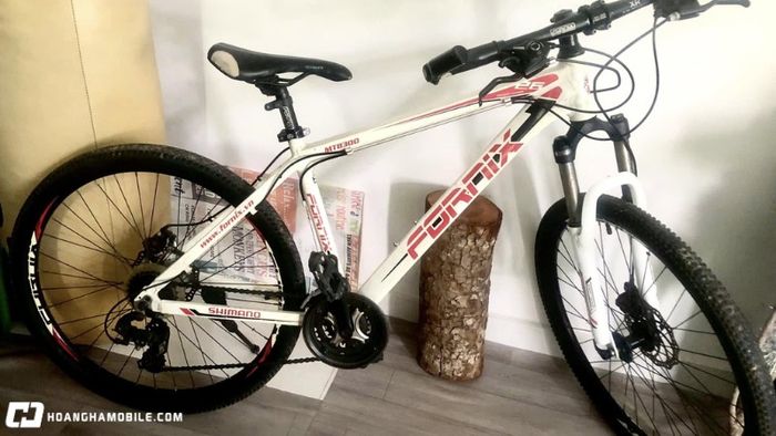 top-11-xe-dap-the-thao-nu-chinh-hang-dep-chat-luong-nen-mua-nhat-2