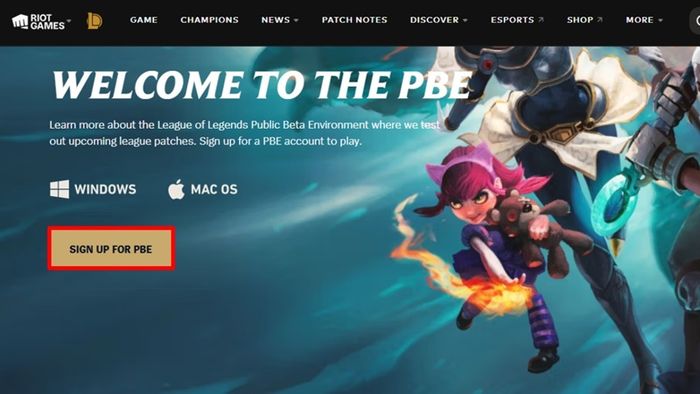 tai-tft-pbe-8