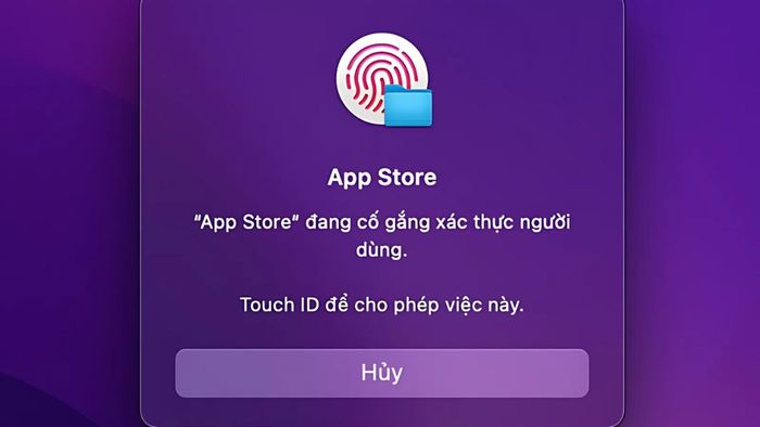 Hướng dẫn từ A-Z cách cài đặt và vận hành Extensions Safari hiệu quả