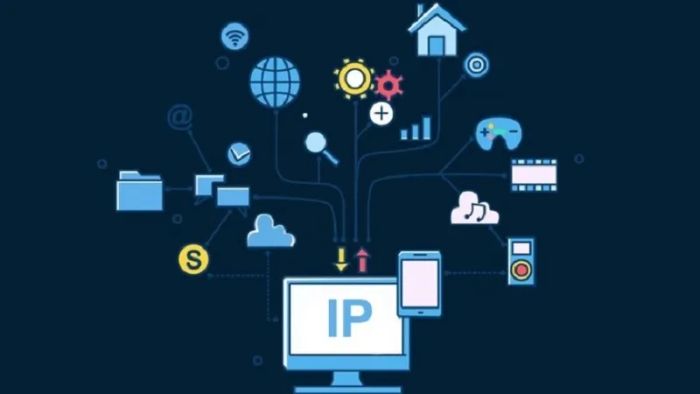 ip-la-gi-2