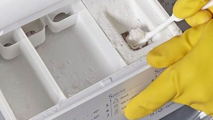 Detergent-7