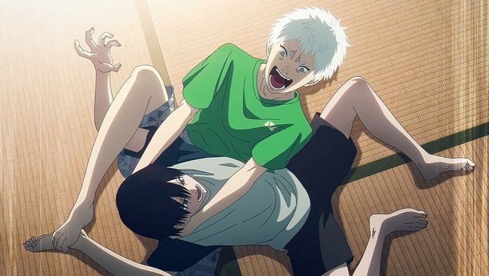 The Summer Hikaru Died