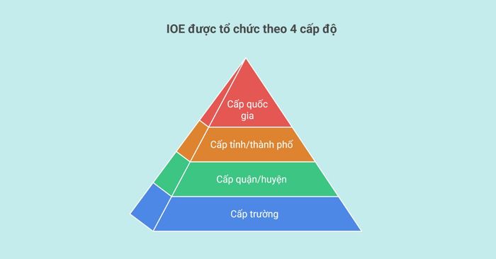 IOE khối 6 - Các vòng thi và phân loại trình độ