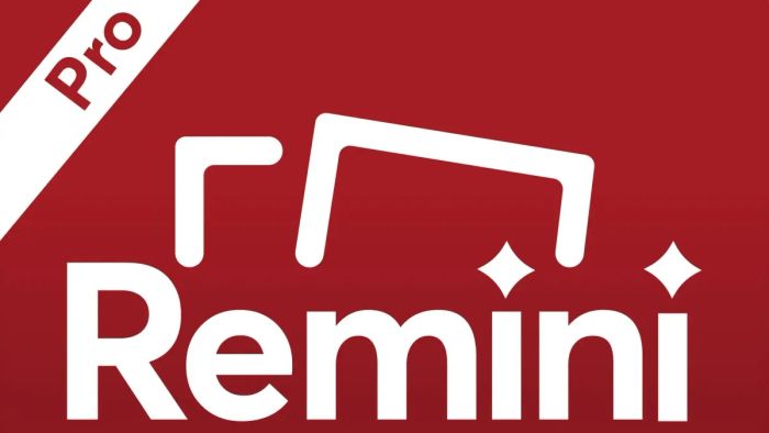 Chi tiết các gói dịch vụ Remini