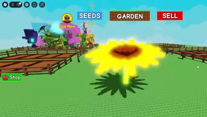 Hướng dẫn chi tiết cách sở hữu Đột biến Dawnbound trong Grow A Garden Roblox