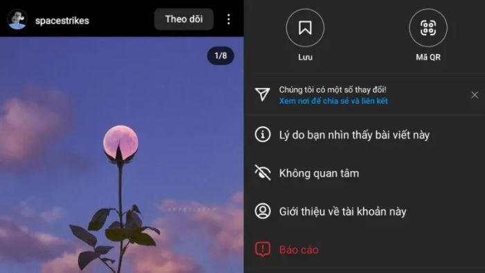 tai-anh-Insta-10