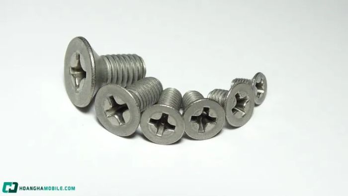 cac-loai-oc-vit-thong-dung-nhat-hien-nay-cong-dung-cua-tung-loai-9