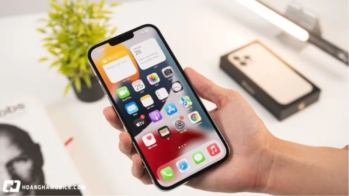9-cach-check-iphone-chinh-hang-chuan-nhat-tranh-mua-hang-nhai-hang-gia-7