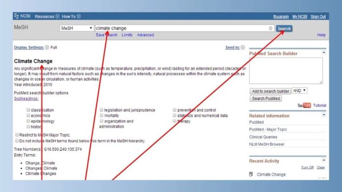 Hướng dẫn tìm kiếm cơ bản với từ khóa trên PubMed
