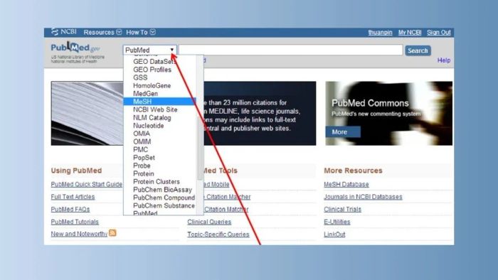 Phương pháp tra cứu cơ bản sử dụng từ khóa trên PubMed