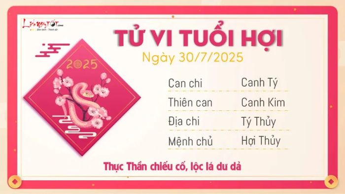 Tử vi hôm nay 30/7/2025 - Tuổi Hợi