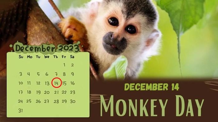 nguon-goc-ngay-14-12