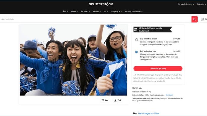 shutterstock-gia-tron-goi