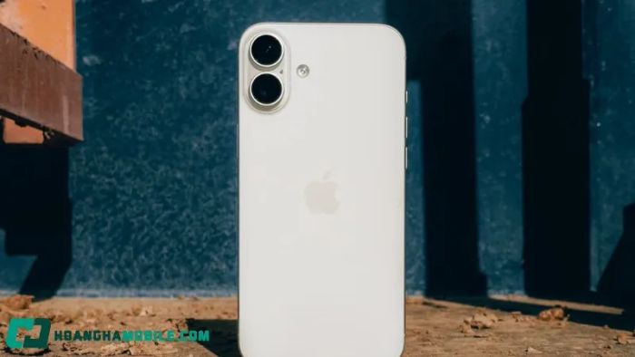 16plus-2