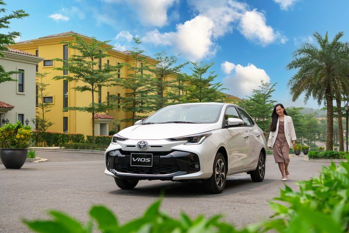 Vios (10).jpg