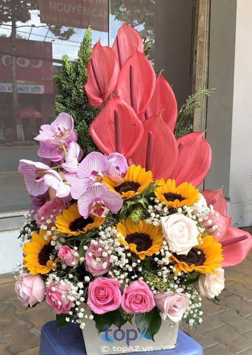 Địa chỉ cung cấp hoa tươi đa sắc