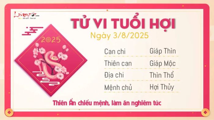 Tử vi trọn ngày 3 tháng 8 năm 2025 - tuổi Hợi