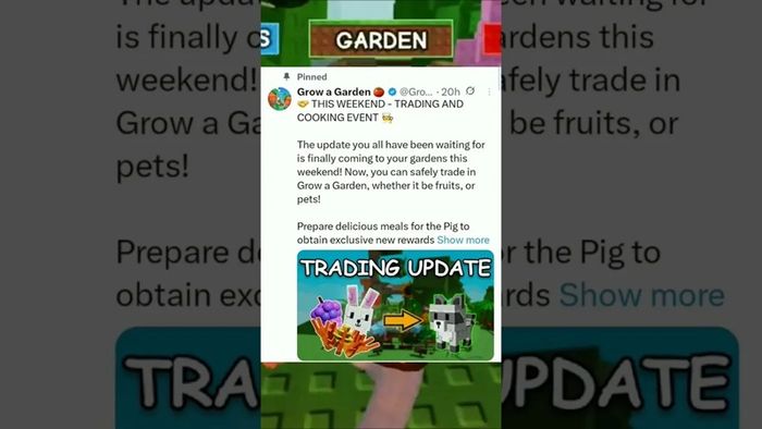 trading-and-cooking-update-2