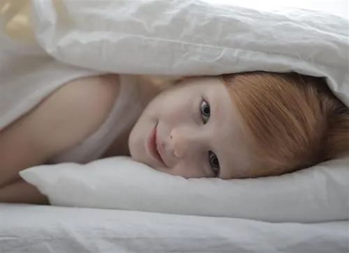 Hãy bắt đầu ngày mới bằng lòng biết ơn