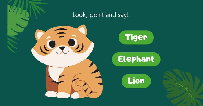 Minh họa sinh vật biển phong phú
