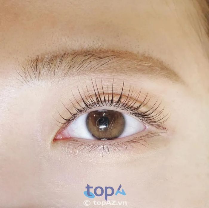 Nhà Bội Eyelash - 291 Đống Đa nối uốn mi đà nẵng