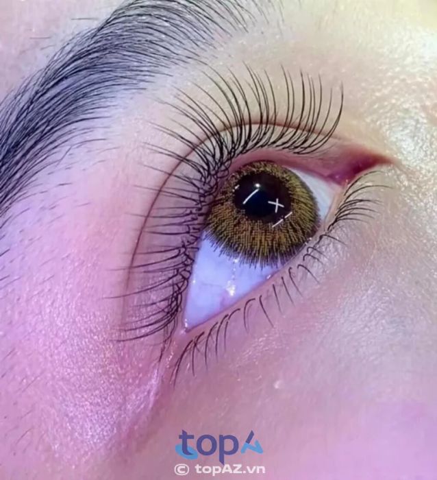 Linh Linh Eyelash - 95 Mai Lão Bạng uốn mi nối mi đà nẵng