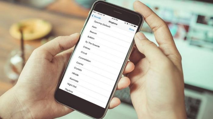 âm thanh báo hiệu iPhone